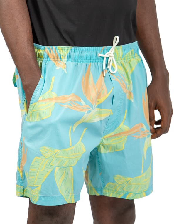 Men's Light Blue Tropical Print Beach Shorts, Elastic Waistband, Quick-Dry Fabric