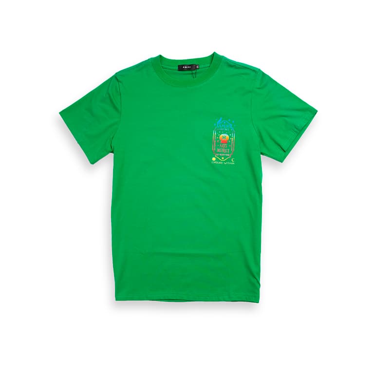 Graphic Print T-shirt / Crew Neck T-shirt