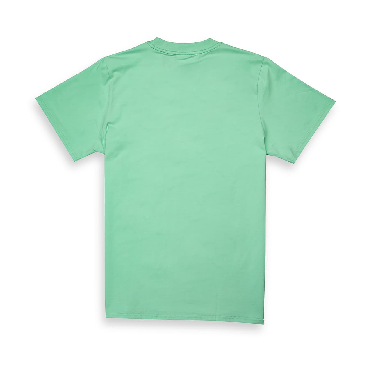 Mint Green Emporio Armani t-shirt with large blue and white marbled Eagle logo on chest, designer unisex casual wear.