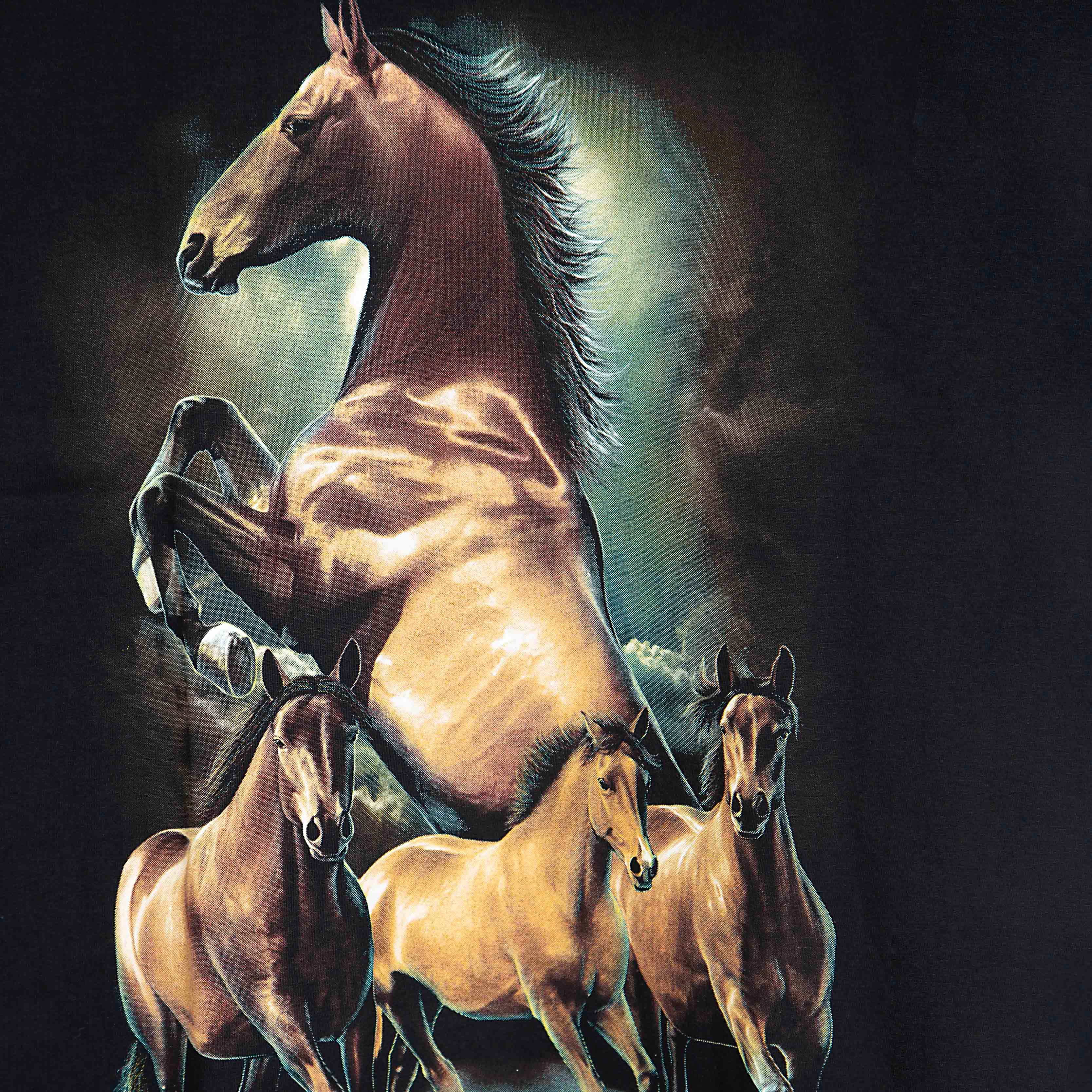"Rock Eagle black unisex T-shirt with detailed running and rearing horse graphic – nature-themed streetwear"