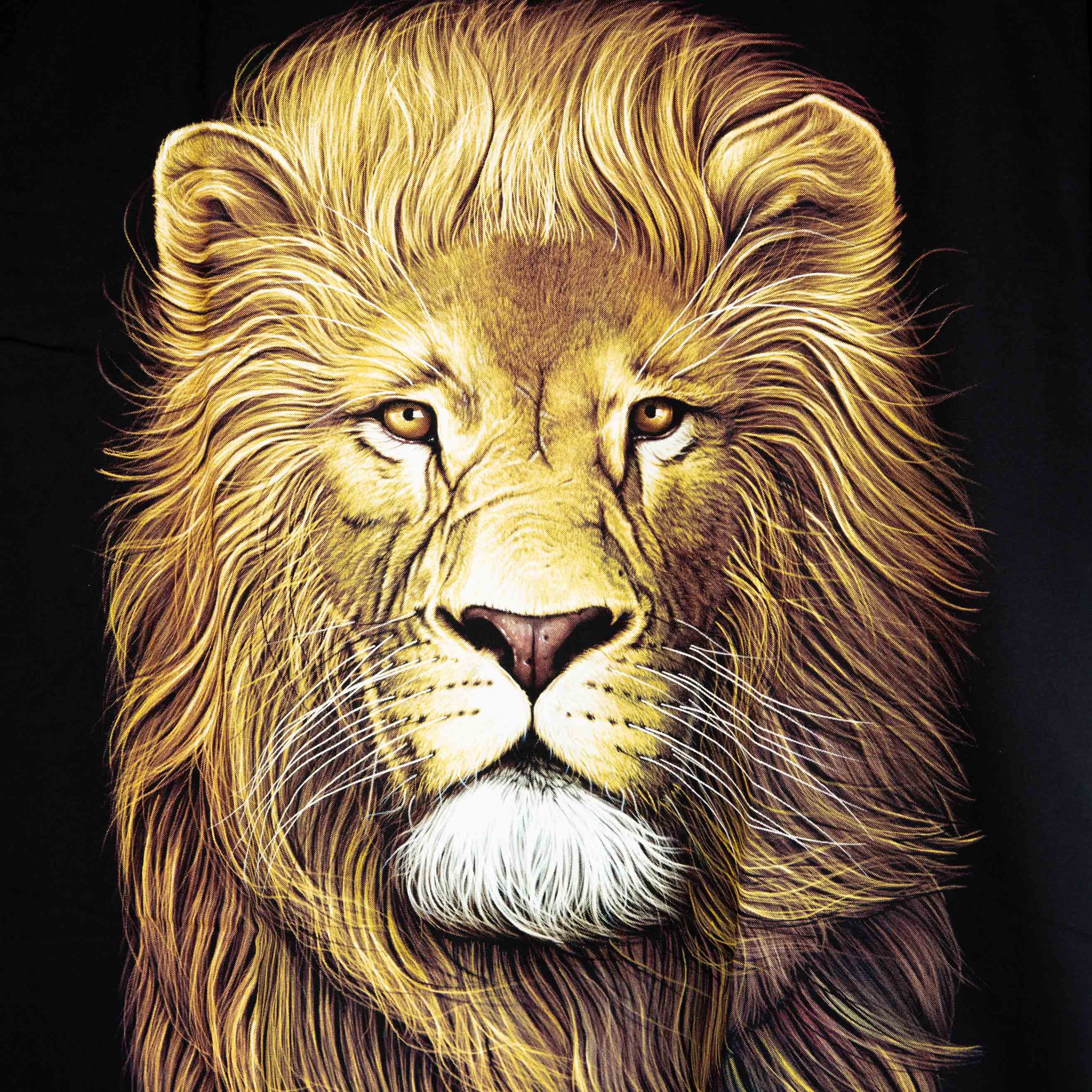 Rock Eagle black unisex t-shirt with a large, realistic, and highly detailed graphic of a majestic lion's head and golden mane centered on the chest.