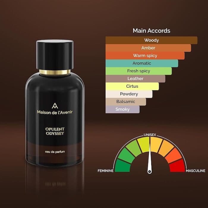 Maison de L'Avenir Opulent Odyssey  EDP 100ml