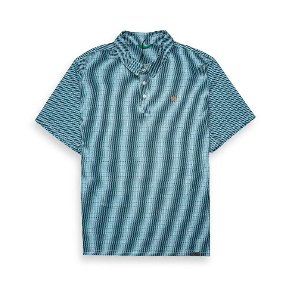This is a short-sleeleeve polo shirt featuring a classic collar and a two-button placket.