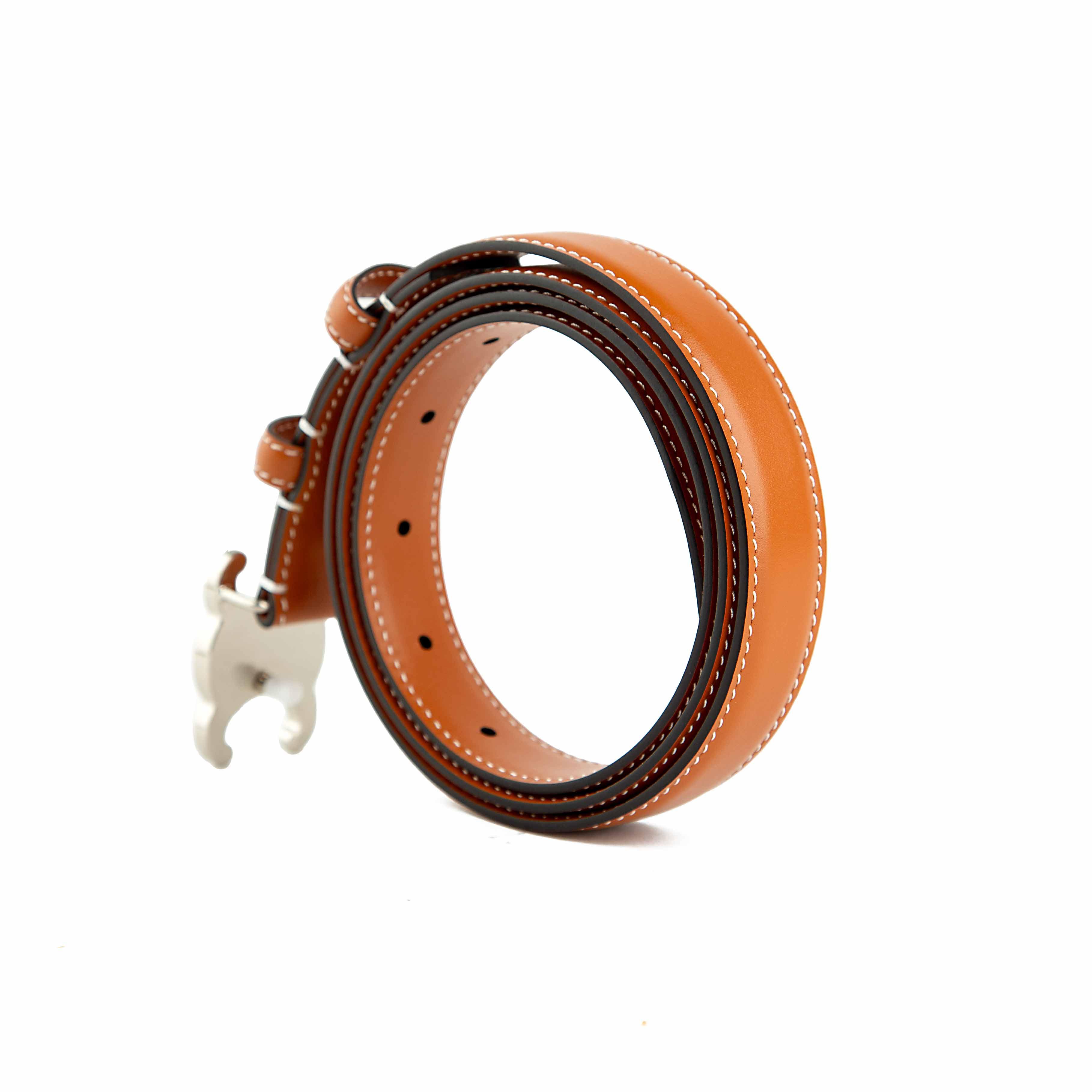 The centerpiece is the iconic Triomphe buckle, an articulated silver-tone metallic plate inspired by the chains surrounding the Arc de Triomphe in Paris.