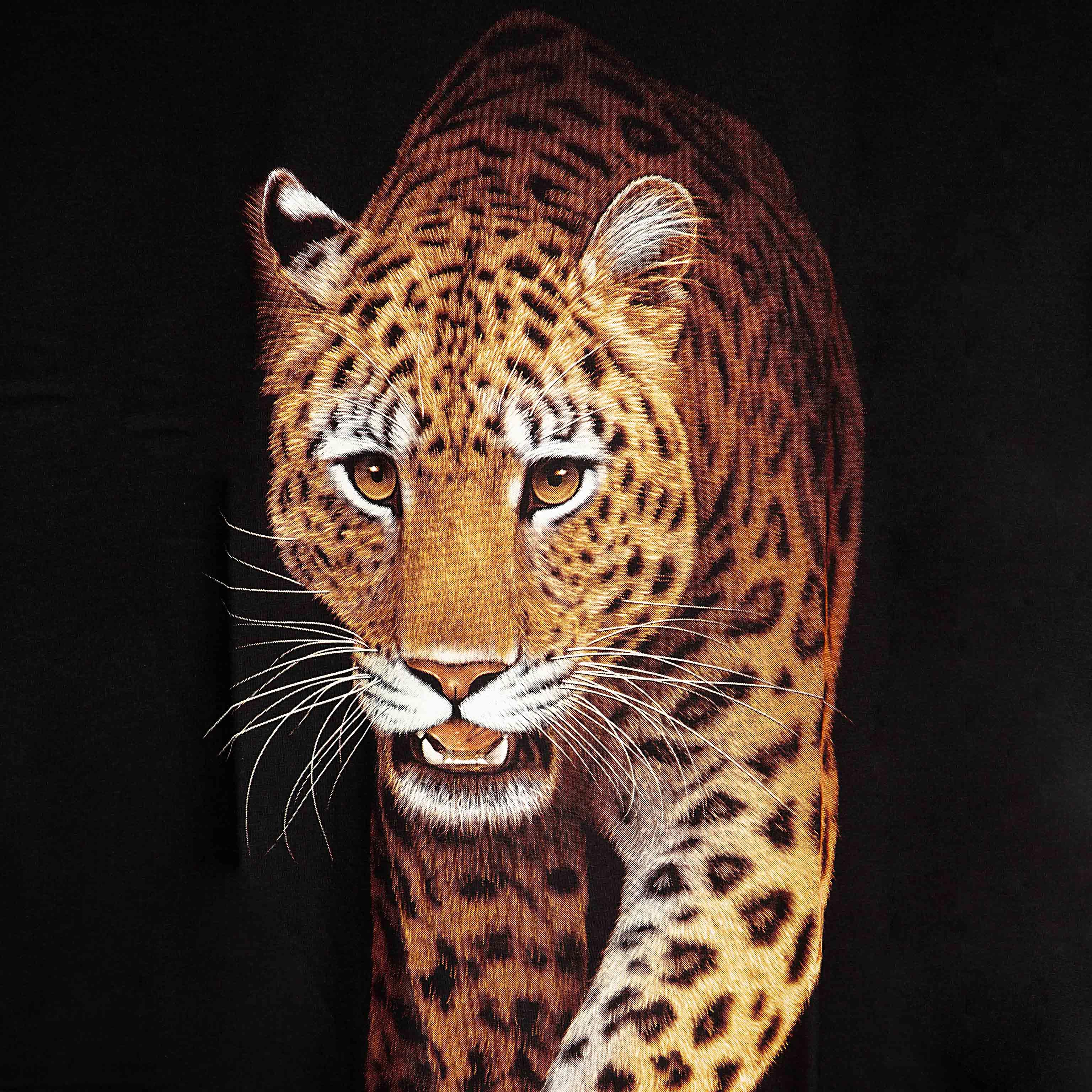 Rock Eagle black unisex t-shirt with a cosmic graphic of four lion heads clustered above a decorative dreamcatcher with feathers and a starry night background.