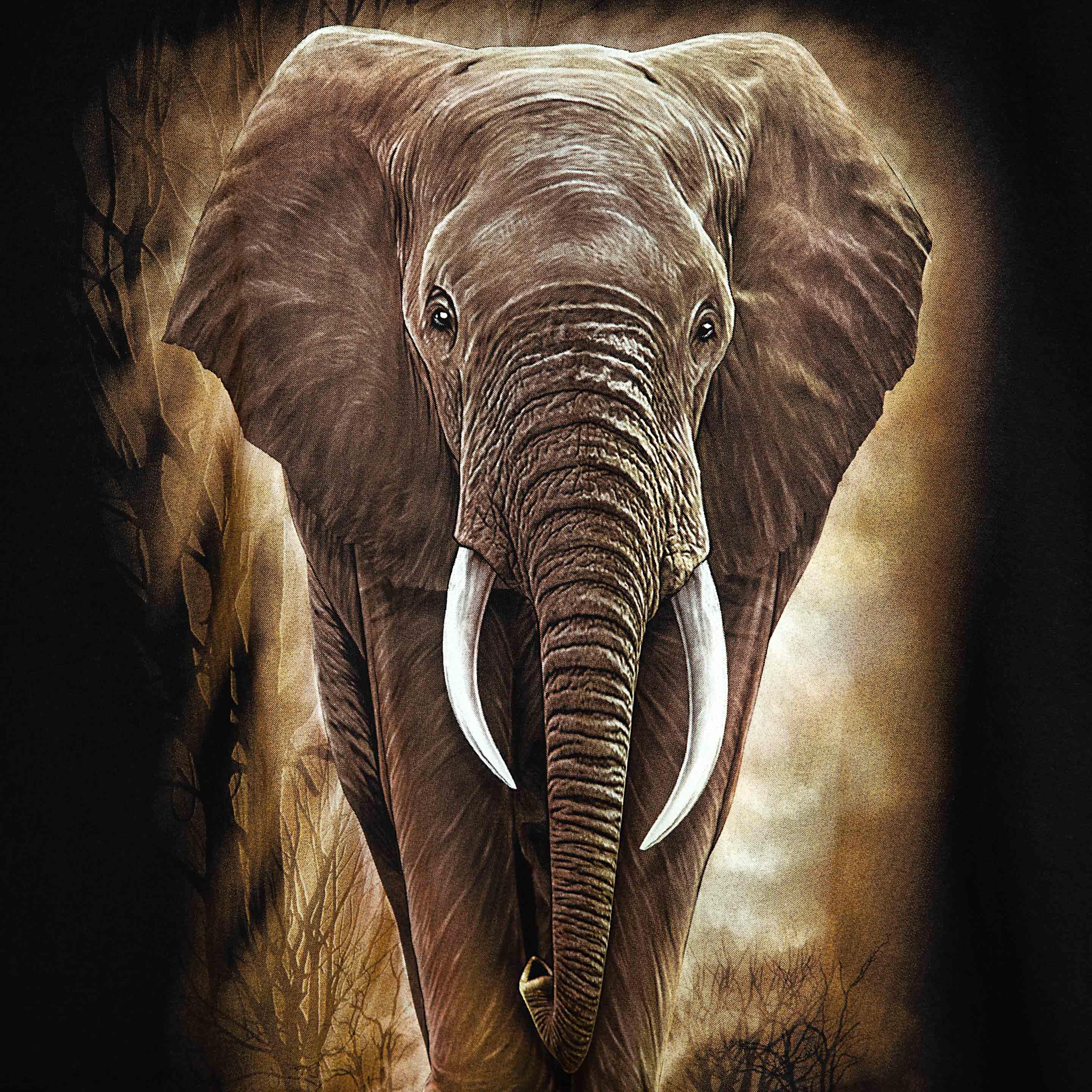 "Rock Eagle black unisex T-shirt with realistic elephant wildlife graphic"
