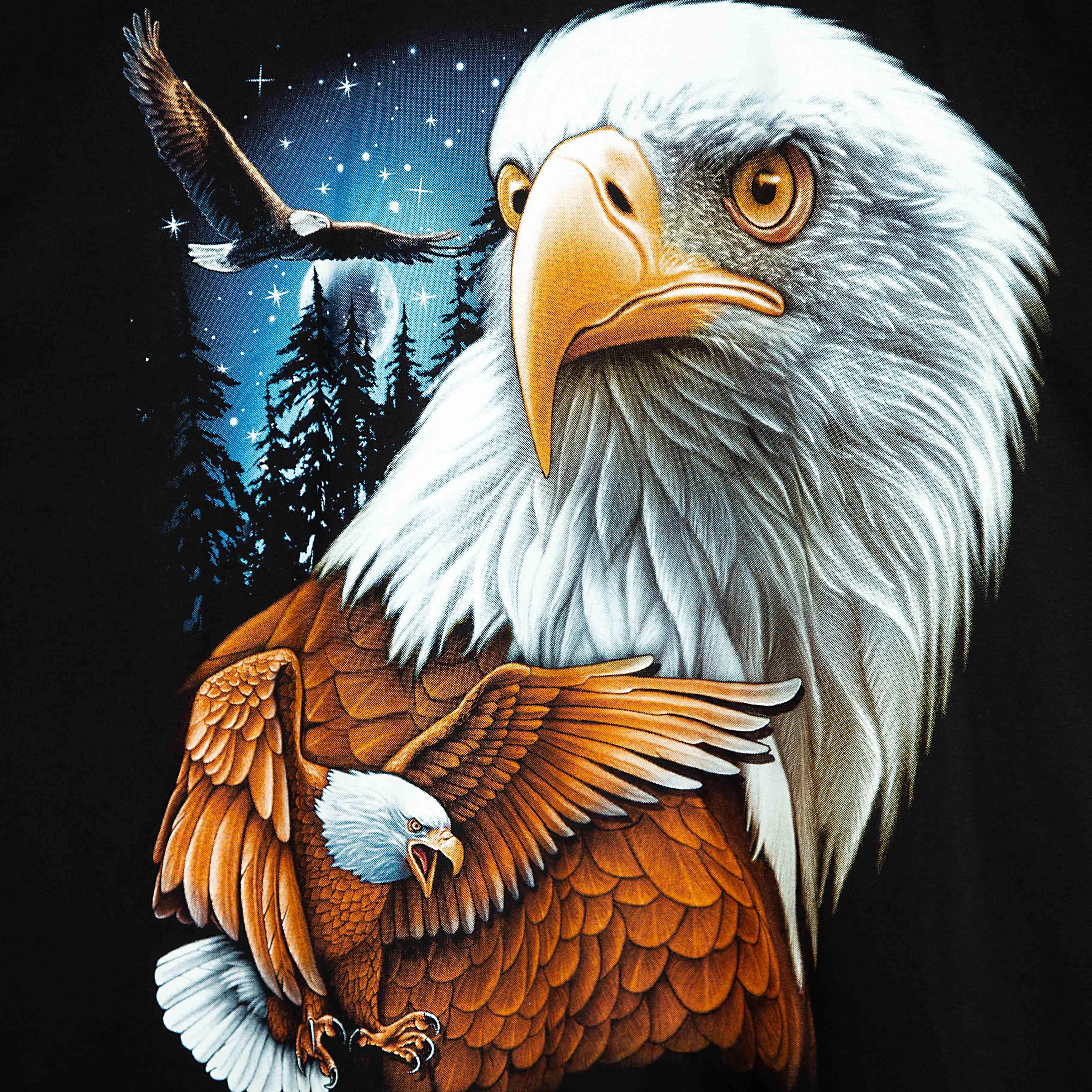 Rock Eagle black unisex t-shirt with a detailed, realistic graphic of a Bald Eagle's head and an eagle in flight against a blue, starry night sky.