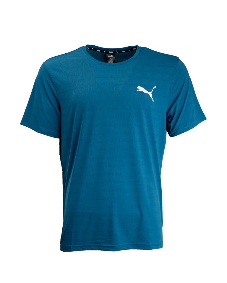 Puma Men's Performance Logo T-Shirt, Teal, Moisture-Wicking Fabric
