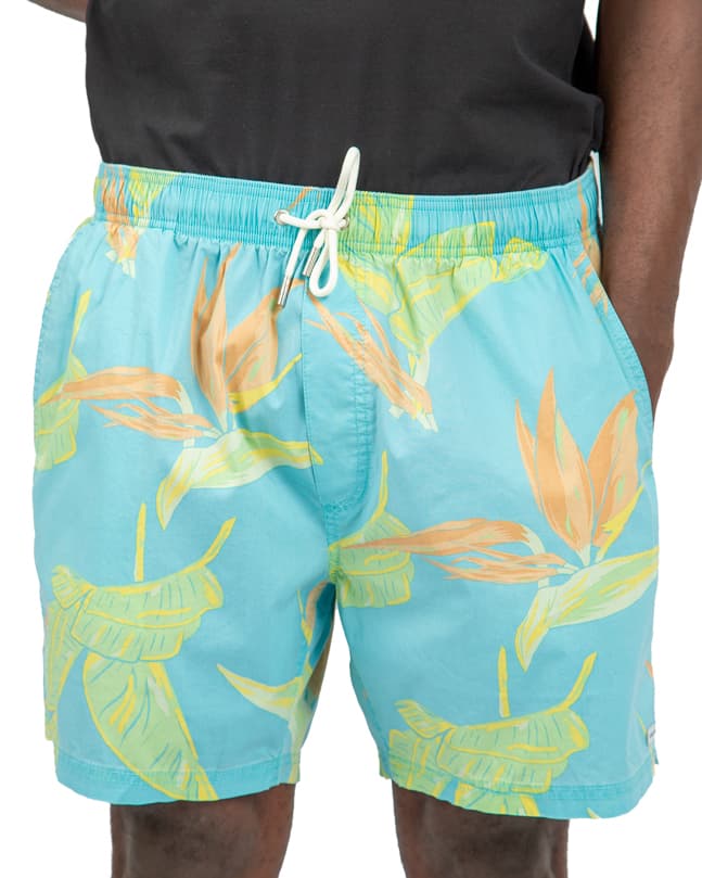 Men's Light Blue Tropical Print Beach Shorts, Elastic Waistband, Quick-Dry Fabric