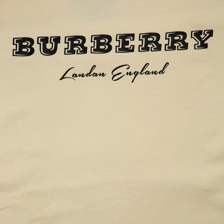 This is a short-sleeved, crew-neck t-shirt from the luxury fashion house Burberry.