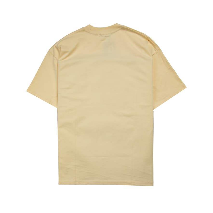 This is a short-sleeved, crew-neck t-shirt from the luxury fashion house Burberry.