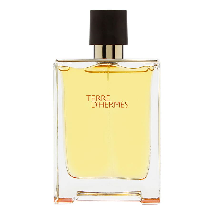 Hermes Men's Terre D' EDT Spray 3.4 oz (Tester) (100 ml)