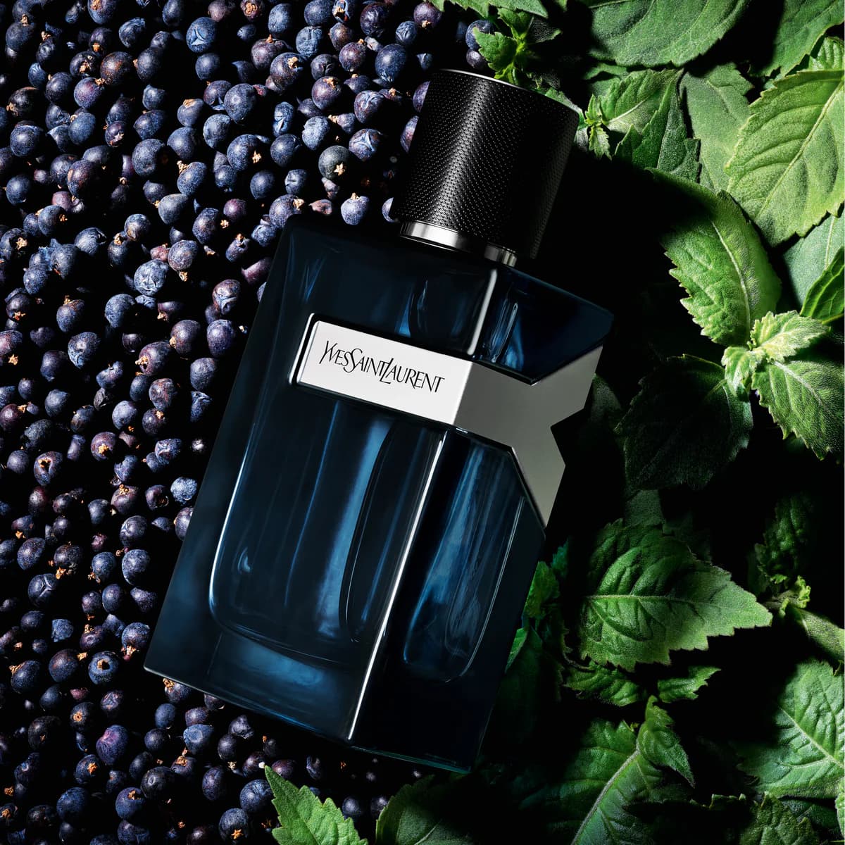 Yves Saint Laurent Y Eau de Parfum Intense - 100ML